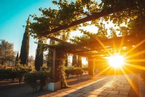 ساخت پرگولا در مازندران | طراحی و اجرای حرفه‌ ای با مدرن کلبه آراسته